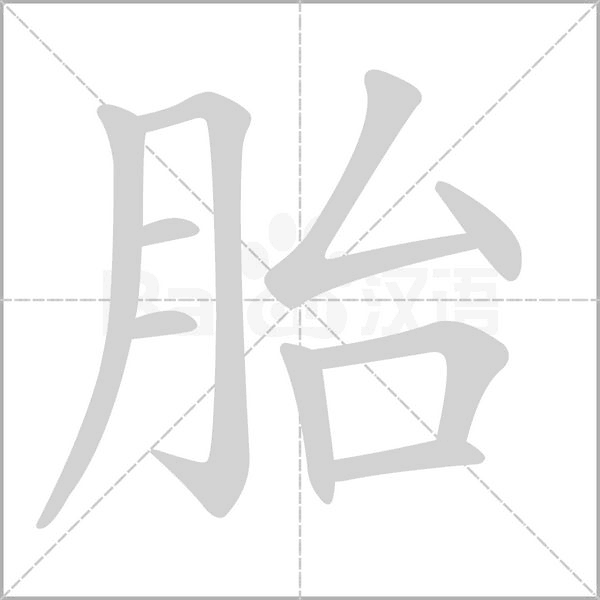 胎的笔顺动画演示