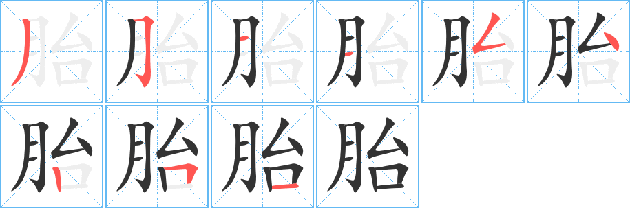 胎的笔顺分步演示