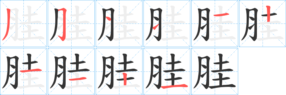 胿的笔顺分步演示